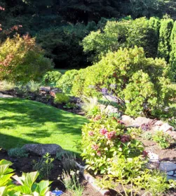 Affordable yard maintenance in Everett, WA by Rainbow Gardening & Landscaping