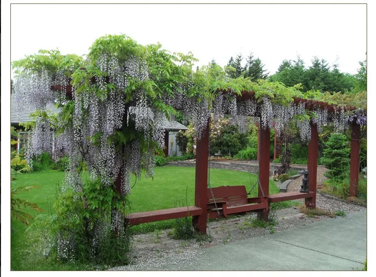 Top-rated garden landscaping in Everett, WA by Rainbow Gardening & Landscaping