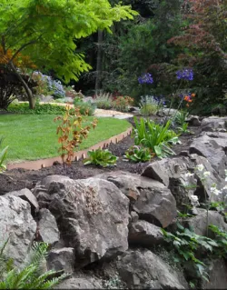 Trusted landscape design for year-round maintenance in Everett, WA by Rainbow Gardening & Landscaping