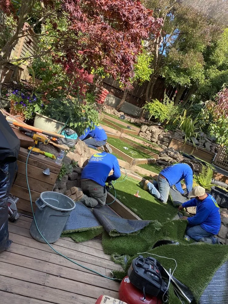Top-rated yard cleanup service experts serving San Rafael, CA - Rainbow Landscape