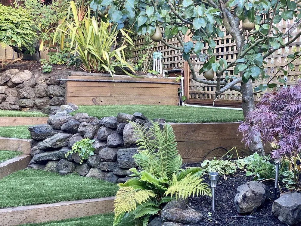 Trusted lawn care service for beautiful yards across San Rafael, CA - Rainbow Landscape