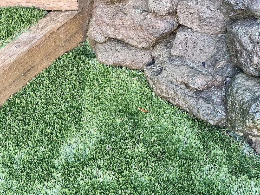 Custom landscaping services in San Rafael, CA by Rainbow Landscape