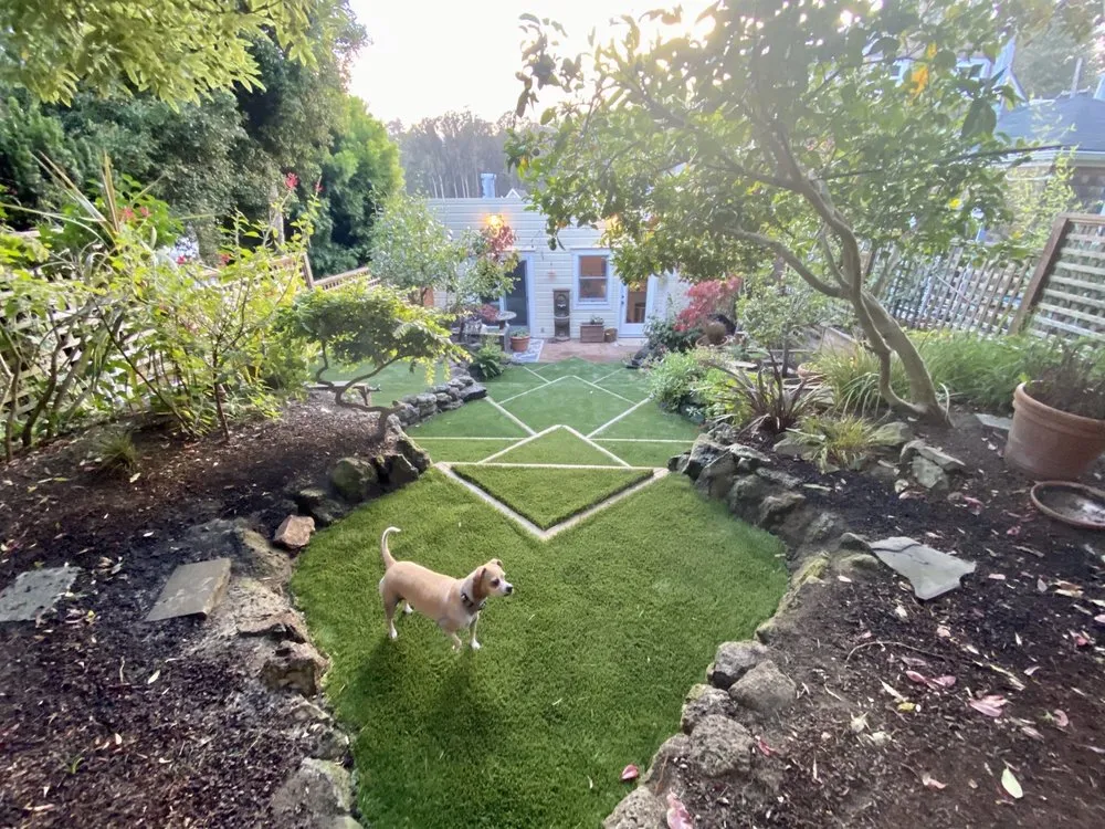 Affordable lawn care service for homes in San Rafael, CA by Rainbow Landscape