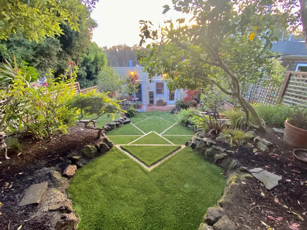 Local yard maintenance in San Rafael, CA - Rainbow Landscape