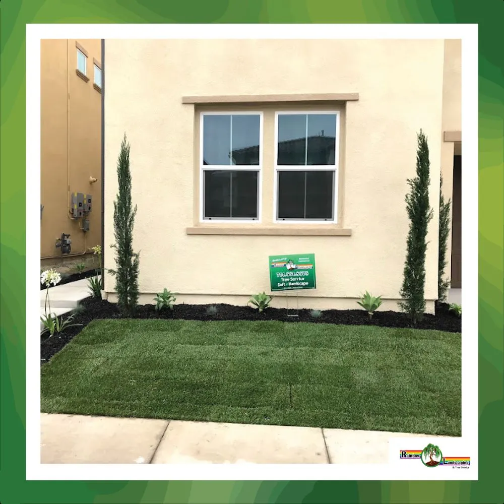 Top-rated lawn mowing service with custom design across Santa Ana, CA - Rainbow Landscaping & Tree Service