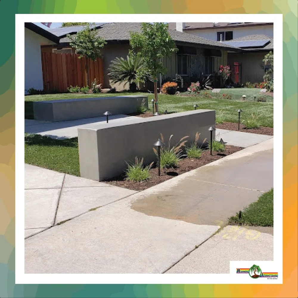 Top-rated yard cleanup service experts serving Santa Ana, CA - Rainbow Landscaping & Tree Service