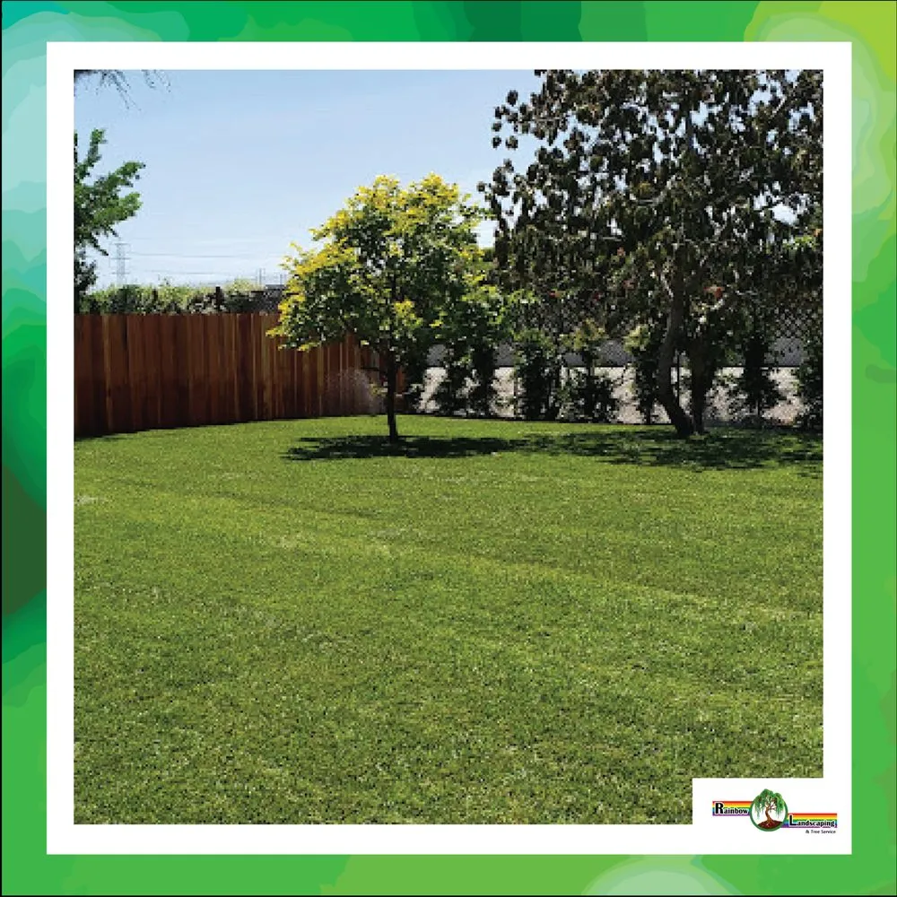 Trusted landscape design for year-round maintenance in Santa Ana, CA by Rainbow Landscaping & Tree Service