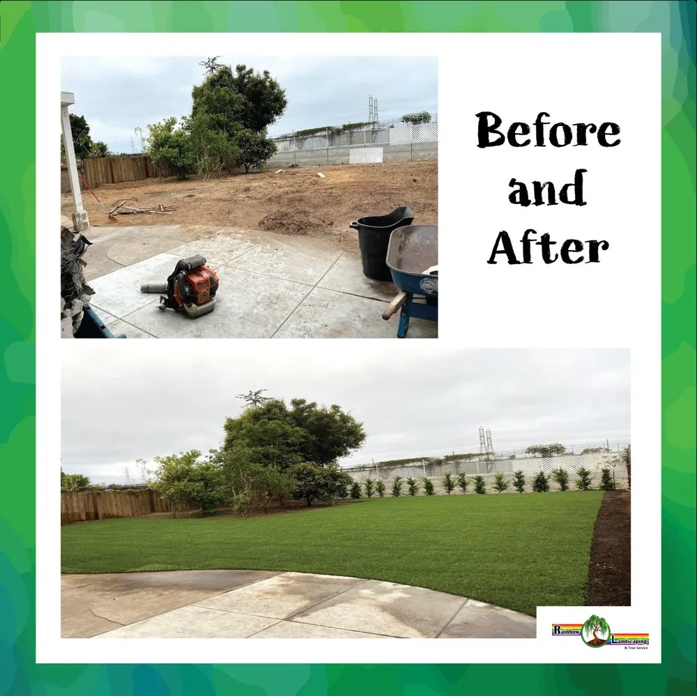 Local yard maintenance in Santa Ana, CA by Rainbow Landscaping & Tree Service