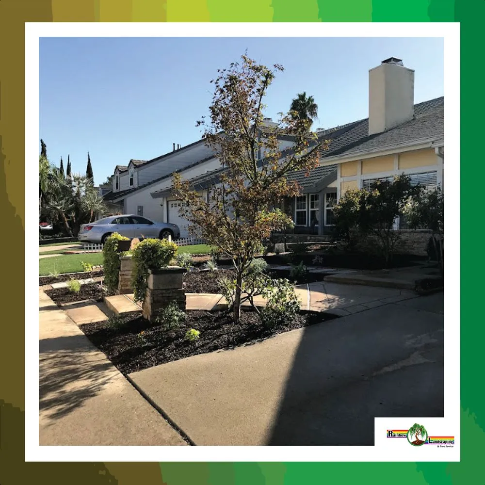 Custom outdoor landscaping for outdoor upgrades across Santa Ana, CA - Rainbow Landscaping & Tree Service