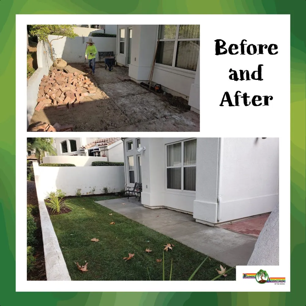 Affordable yard cleanup service experts serving Santa Ana, CA - Rainbow Landscaping & Tree Service