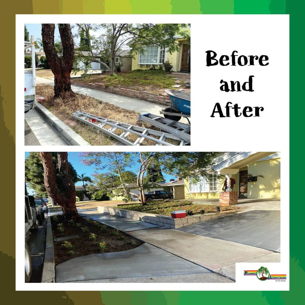 Local landscape design in Santa Ana, CA by Rainbow Landscaping & Tree Service