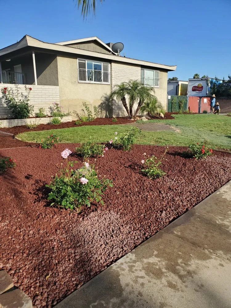 Custom landscape installation for outdoor upgrades across Redlands, CA - Rainbow Landscaping