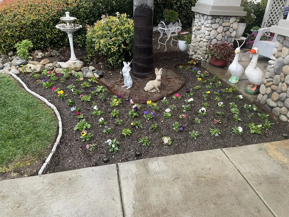 Local lawn mowing service in Redlands, CA - Rainbow Landscaping