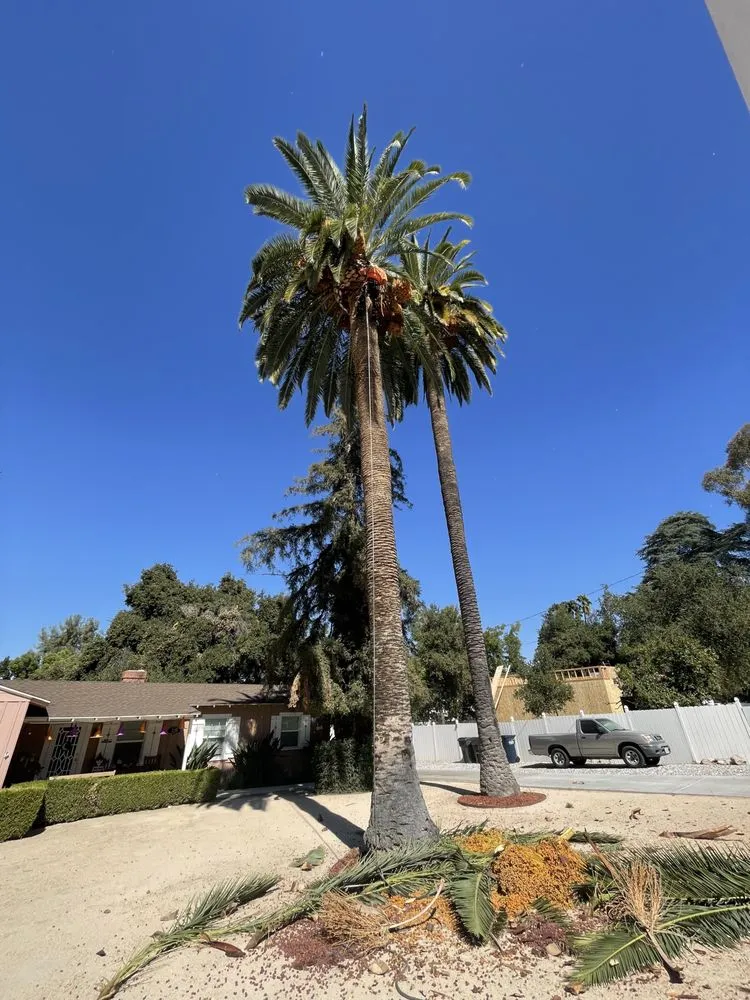 Reliable landscape installation near you across Redlands, CA - Rainbow Landscaping