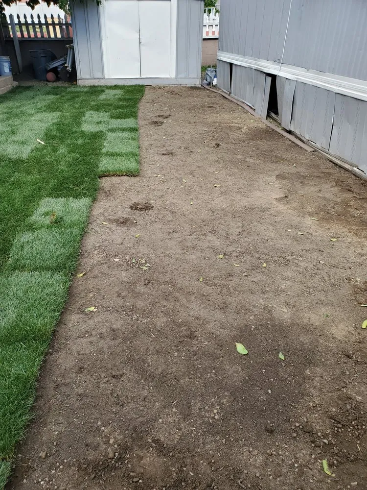 Affordable landscape design for outdoor upgrades in Redlands, CA by Rainbow Landscaping