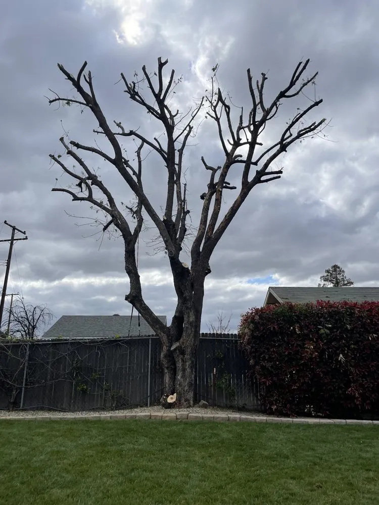 Expert outdoor landscaping experts serving Redlands, CA - Rainbow Landscaping