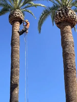 Rainbow Landscaping Logo