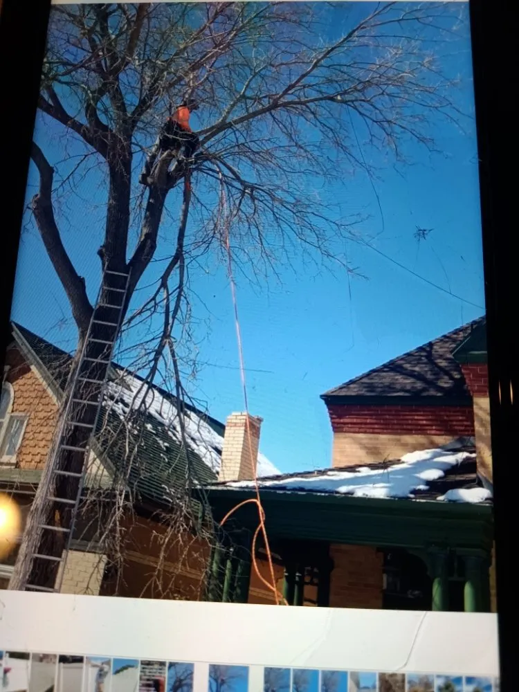 Custom lawn mowing service in West Valley City, UT - Rainbow Landscaping