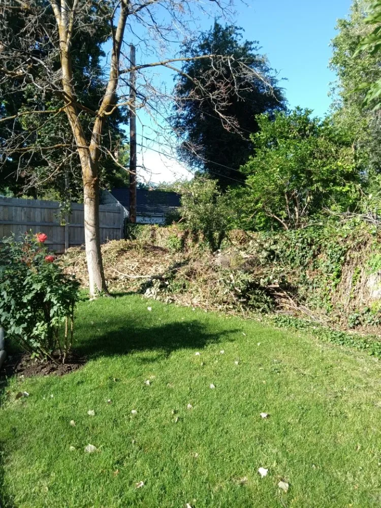 Professional landscape design in West Valley City, UT - Rainbow Landscaping