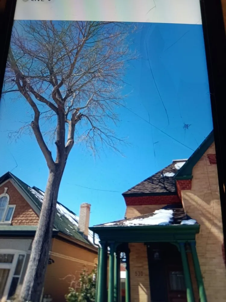 Local garden landscaping experts serving West Valley City, UT - Rainbow Landscaping