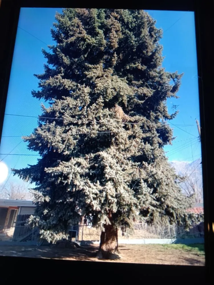 Top-rated outdoor landscaping in West Valley City, UT - Rainbow Landscaping