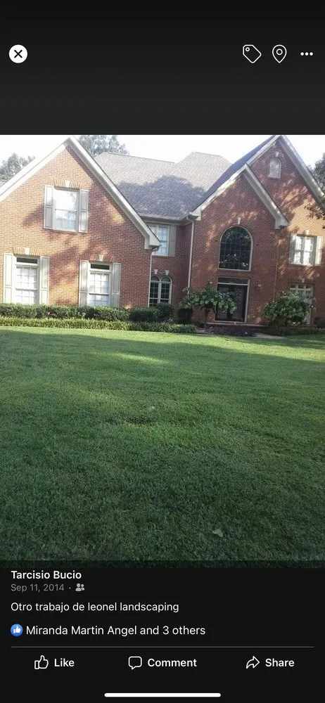 Custom yard cleanup service for homes across Chattanooga, TN - Rainbow Lawn Care