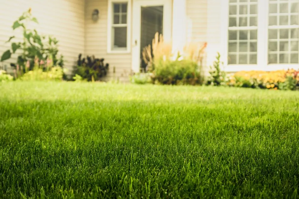 Top-rated lawn care service for outdoor upgrades in Minnetonka, MN by Rainbow Lawncare