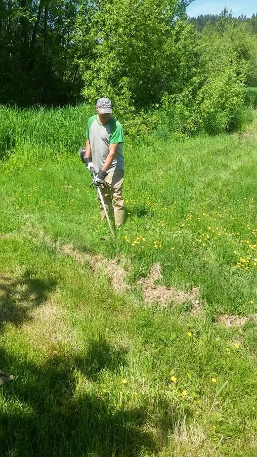 Affordable yard cleanup service for residential properties in San Jose, CA by Rainbow Painting and Landscaping Services