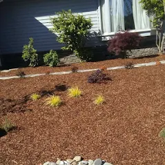 Professional lawn care service for residential properties across San Jose, CA - Rainbow Painting and Landscaping Services