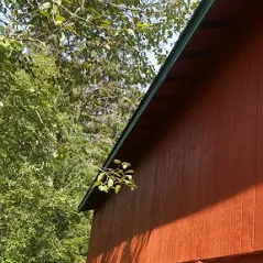 Reliable lawn care service in San Jose, CA - Rainbow Painting and Landscaping Services