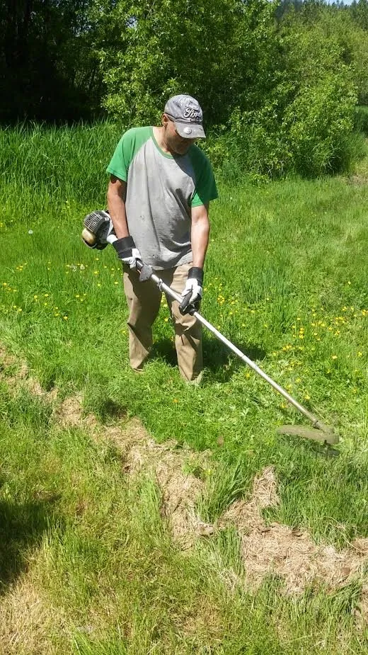 Top-rated yard cleanup service near you across San Jose, CA - Rainbow Painting and Landscaping Services