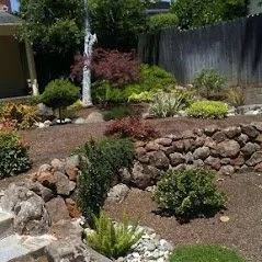 Local landscape installation for year-round maintenance across San Jose, CA - Rainbow Painting and Landscaping Services