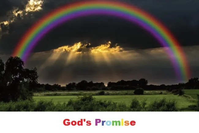 Professional landscaping services in Brunswick, GA by Rainbow Services