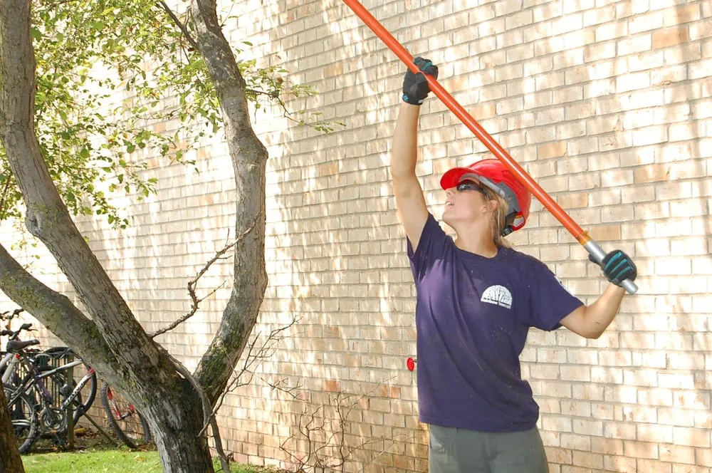 Reliable landscape installation in Minnetonka, MN by Rainbow Treecare