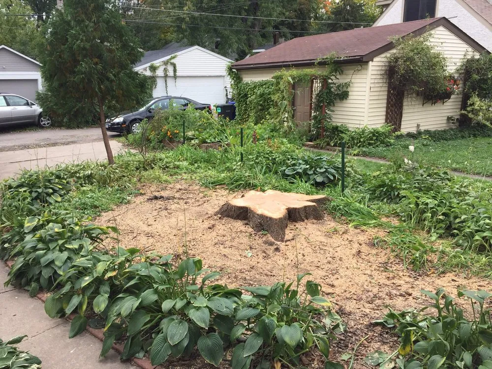 Custom garden landscaping for homes in Minnetonka, MN by Rainbow Treecare