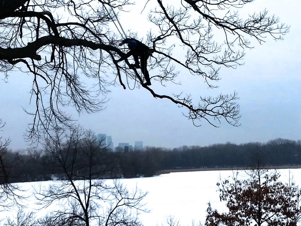 Custom garden landscaping with custom design in Minnetonka, MN by Rainbow Treecare