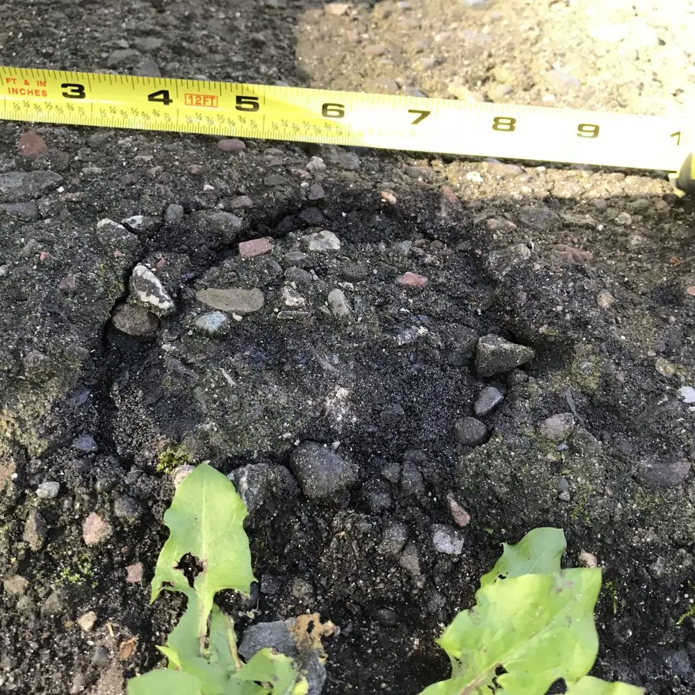 Trusted yard maintenance experts serving Minnetonka, MN - Rainbow Treecare