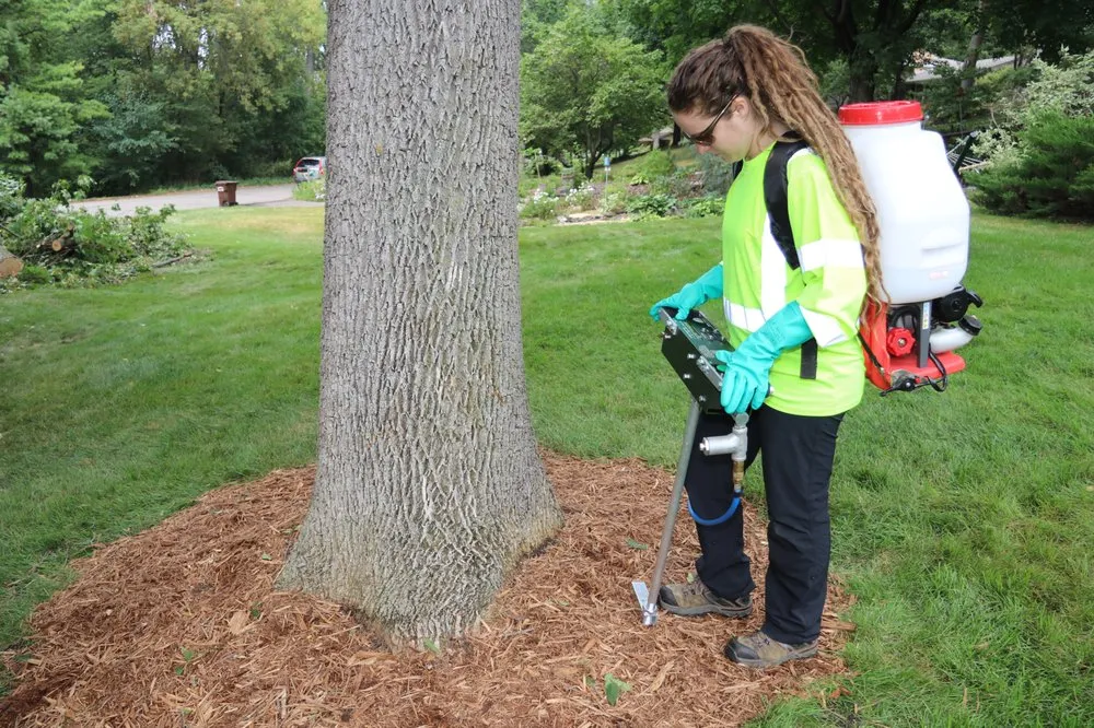 Expert outdoor landscaping experts serving Minnetonka, MN - Rainbow Treecare