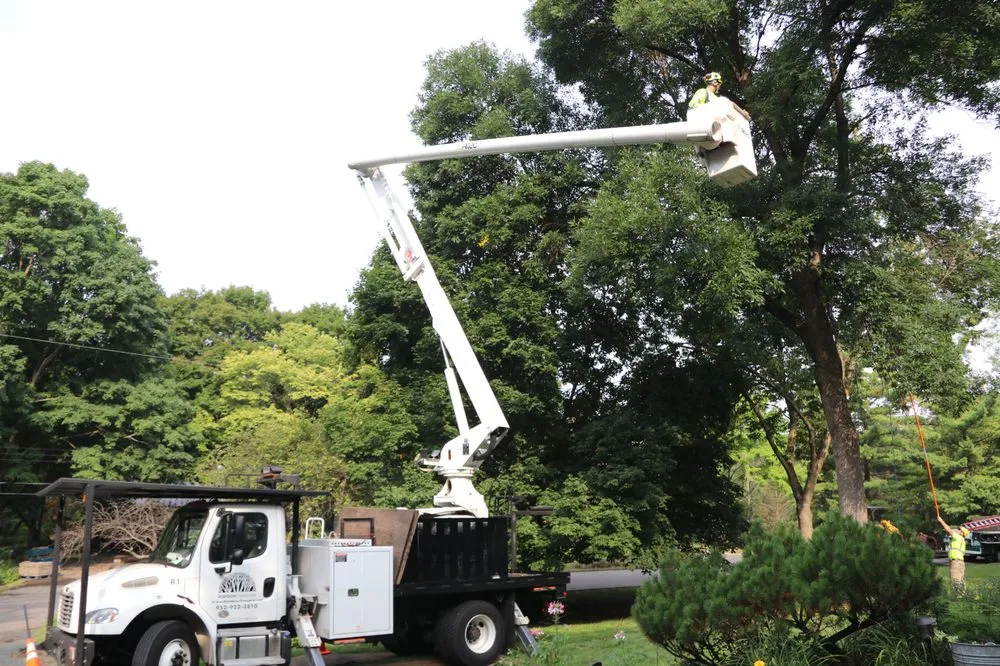 Professional landscaping services for beautiful yards across Minnetonka, MN - Rainbow Treecare