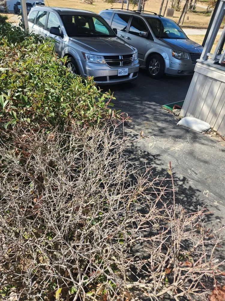 Custom lawn care service for year-round maintenance across Livingston, TX - Rainbows Yard Maintenance