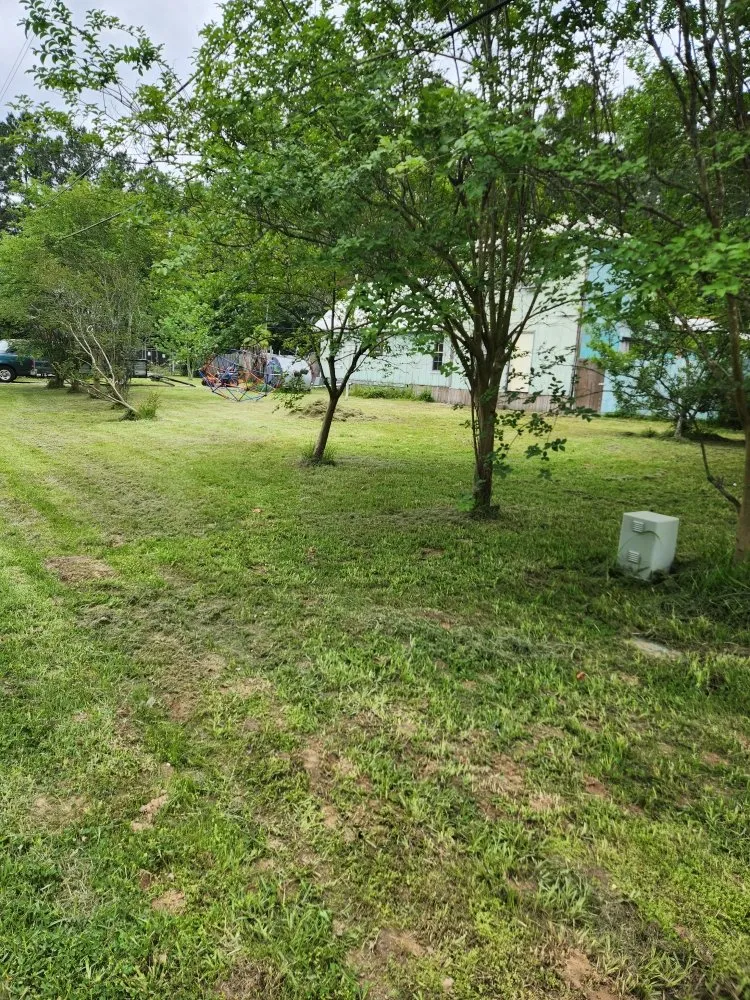 Custom landscape installation experts serving Livingston, TX - Rainbows Yard Maintenance