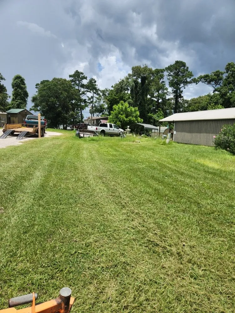 Custom landscaping services near you in Livingston, TX by Rainbows Yard Maintenance