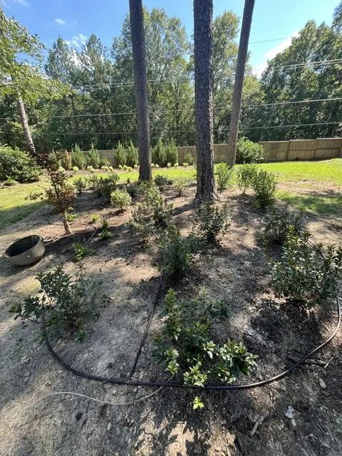 Affordable landscaping services in Pulaski, MS - Raindance Irrigation