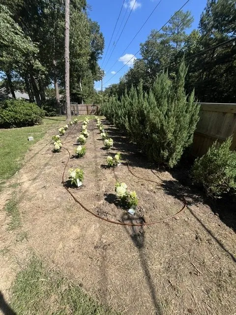 Custom landscaping services in Pulaski, MS - Raindance Irrigation