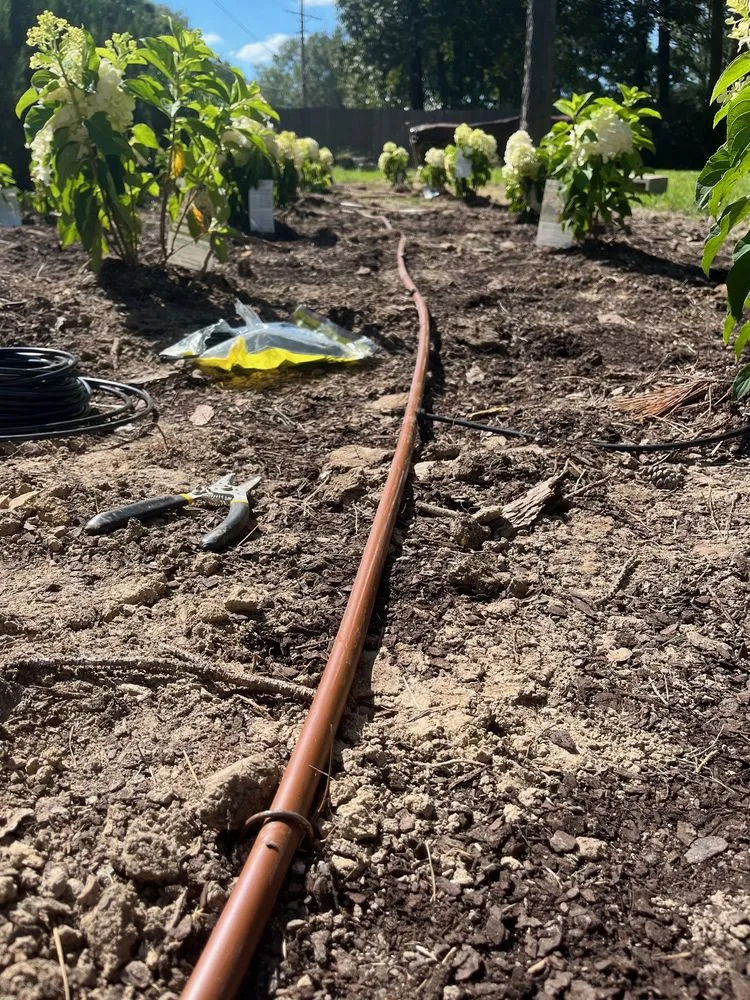 Professional garden landscaping in Pulaski, MS - Raindance Irrigation