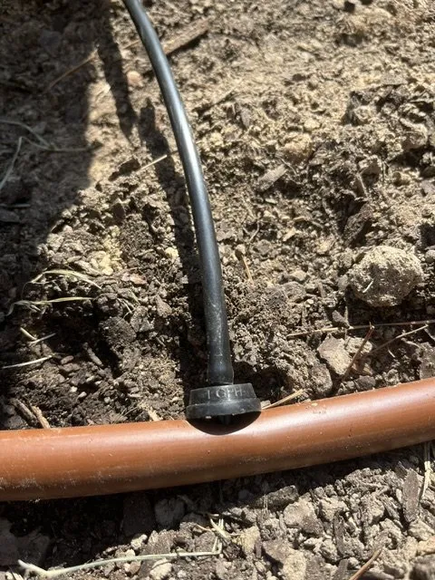 Affordable yard cleanup service near you across Pulaski, MS - Raindance Irrigation