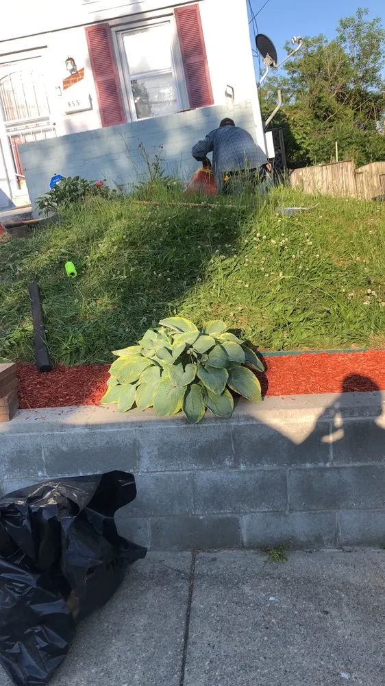 Reliable outdoor landscaping in Hyattsville, MD - Raindrops services