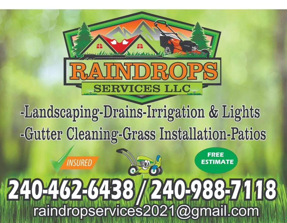 Custom yard cleanup service for year-round maintenance in Hyattsville, MD by Raindrops services