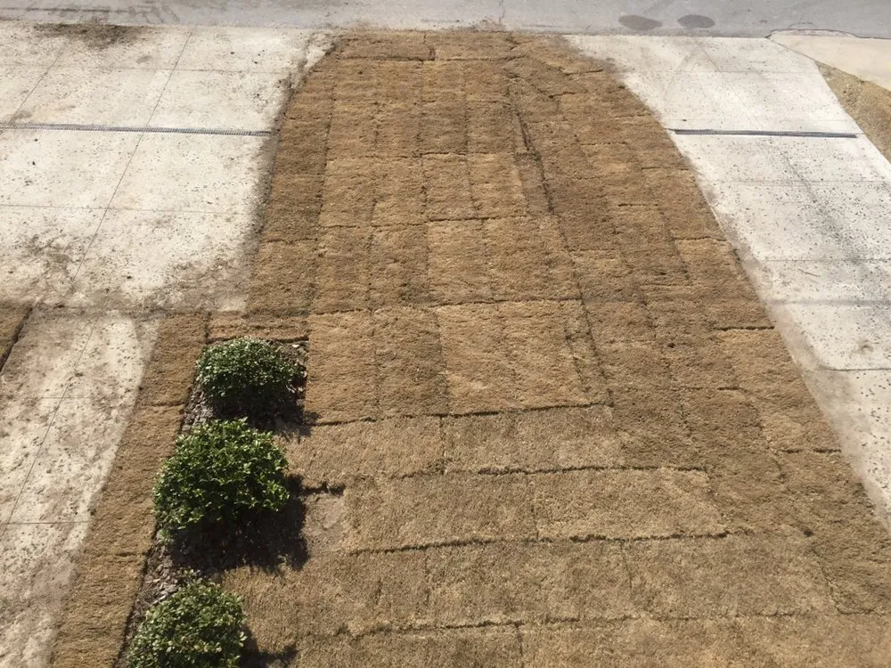 Affordable landscaping services experts serving Ernul, NC - Raines Landscape