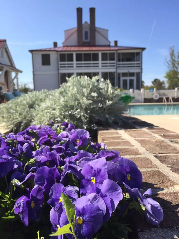 Trusted landscape installation experts serving Ernul, NC - Raines Landscape